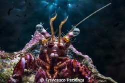 [:b:]Under lights[:/b:] by Francesco Pacienza 